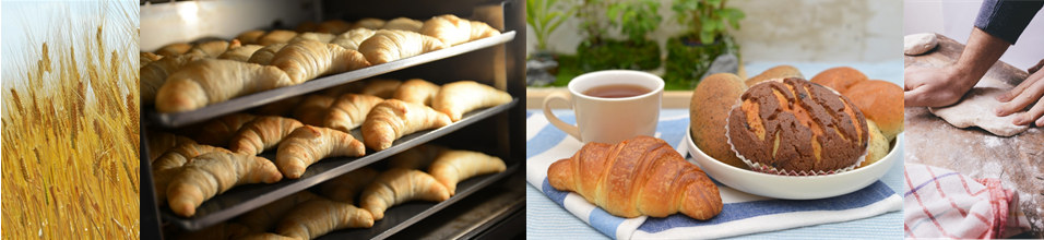 あしたをみつめるリテイル活性化協会